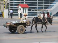 Albums/20060800-China Aug 2006/20060804-Shenyang University/125